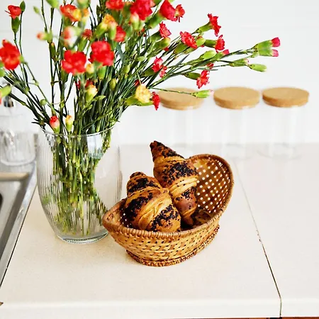 Magic - Garden Zator