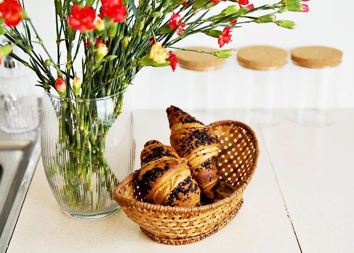 Magic - Garden Zator