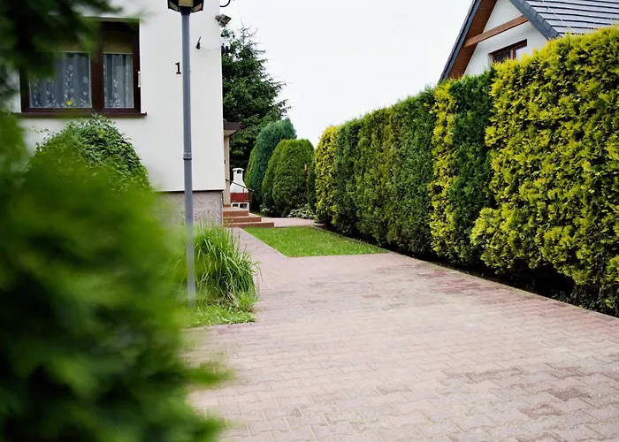 Magic - Garden Zator